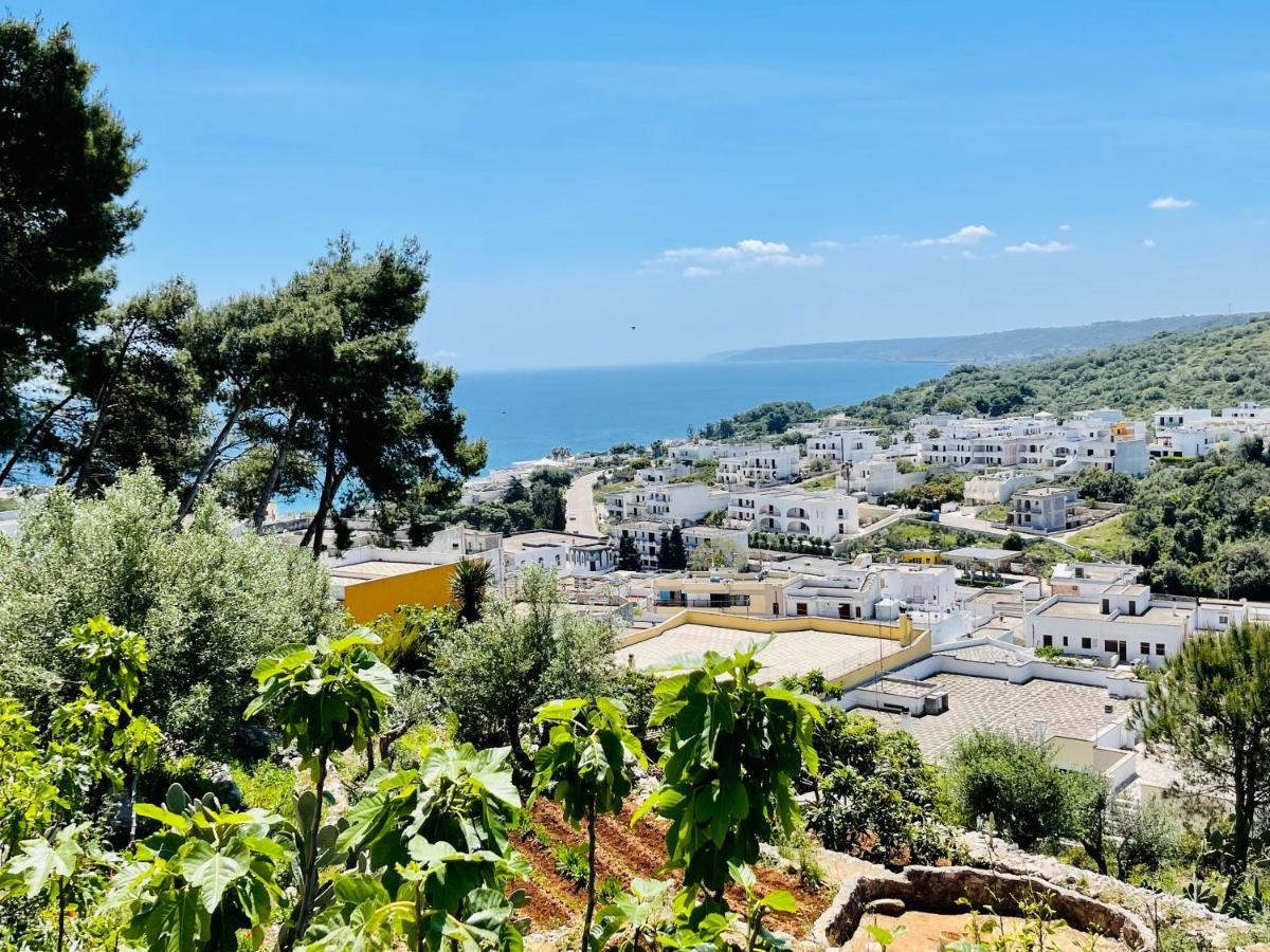 La Marea Apartment Castro  Luaran gambar